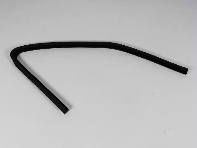Rear Door Glass Seal, Left