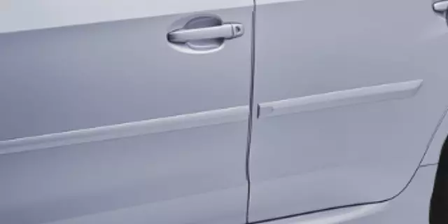 Door Edge Guard - Ice Silver Metallic