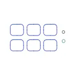 Fuel Injection Plenum Gasket Set