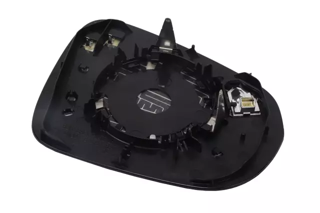 Driver Side Door Mirror with Glass and Backing Plate