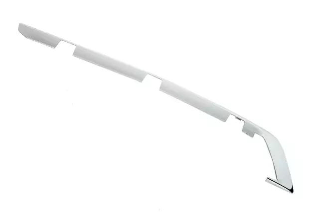 Passenger Side Rear Bumper Fascia Molding