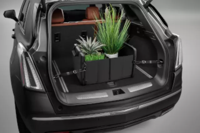 Cargo Area Organizer