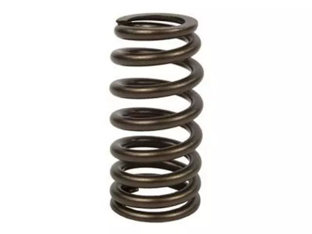 Valve Springs