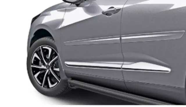 Body Side Molding - Lunar Silver Metallic