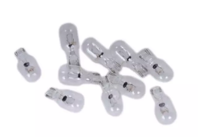 Multi-Purpose Light Bulb