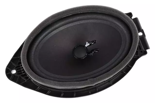 Front Door Radio Speaker