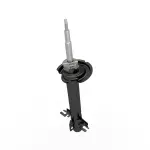 Front Suspension Strut