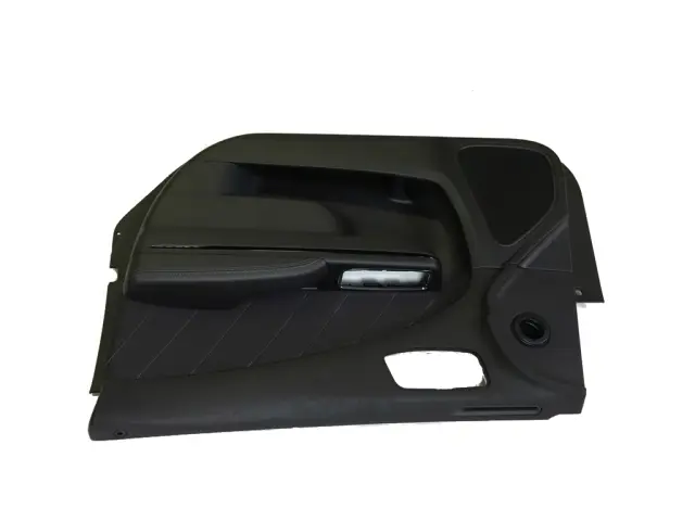 2016-2018 Dodge Charger Front Door Trim Panel Assembly, Right