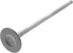 Exhaust Valve