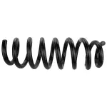 2021-2024 Ford - Coil Spring