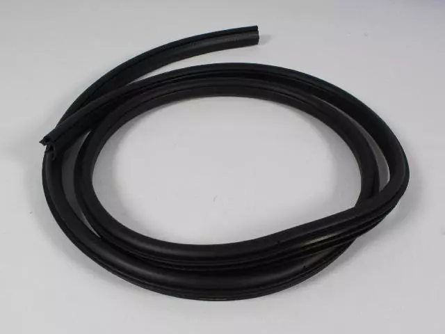 Rear Door Body Mounted Weatherstrip, Right