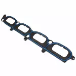 Manifold Gasket