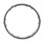Motorcraft™ Engine Coolant Thermostat Housing Gasket