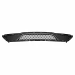 Bumper Grille