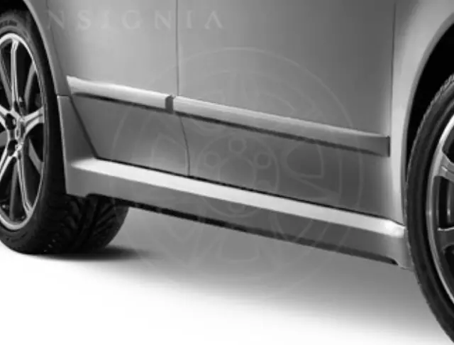 Body Side Molding - Silver Moon