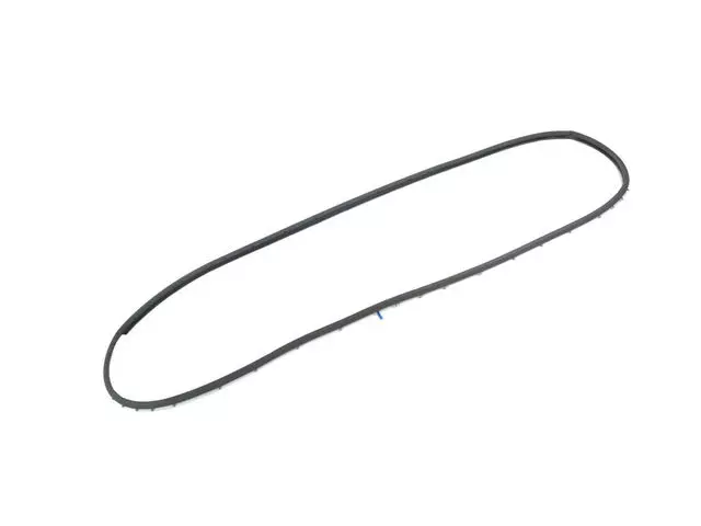 Rear Door Mounted Weatherstrip, Right