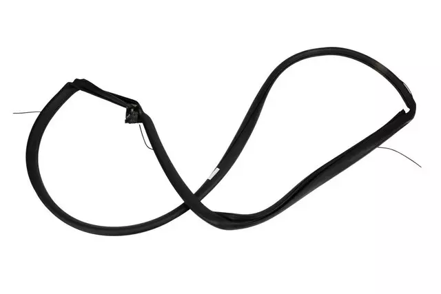 Front Passenger Side Door Weatherstrip