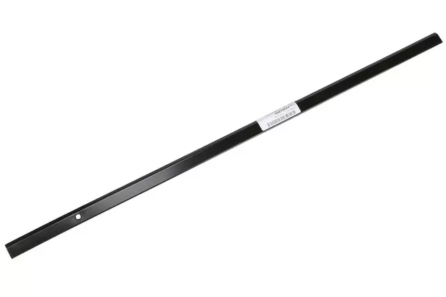 Passenger Side Rear Door Weatherstrip Retainer