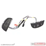 Cruise Control Switch