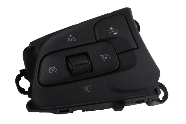 Black Cruise Control Switch