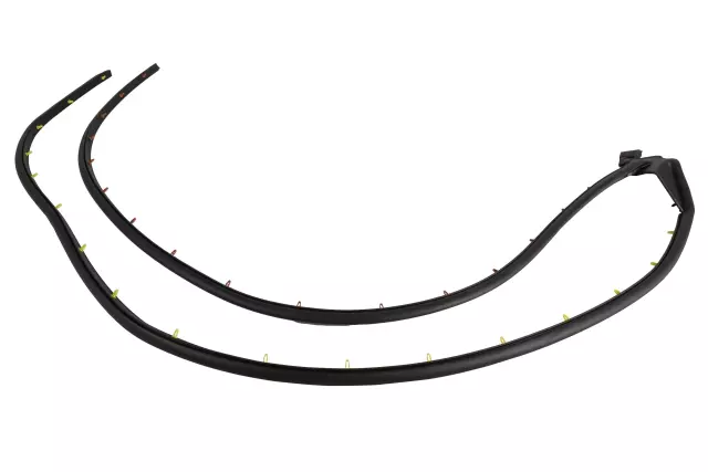 Front Passenger Side Door Weatherstrip