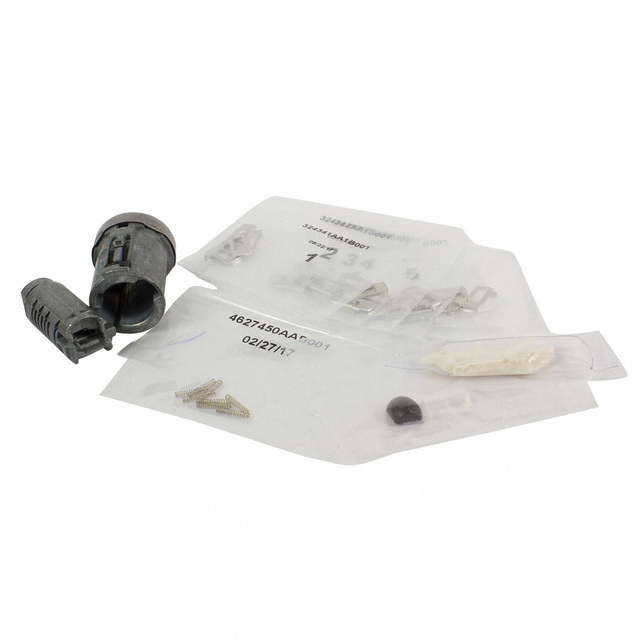 AU5Z11582B Ignition Lock Cylinder 20042020 Ford Lasco Auto Parts