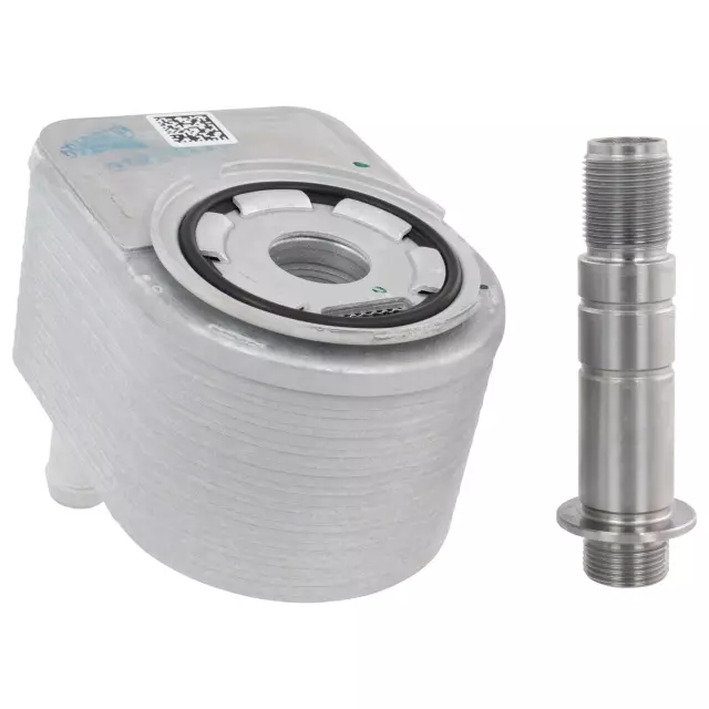 化石　A-6 化石セブン史上2つ目！次回入荷未定、ジ・オールドコレクション！絶滅