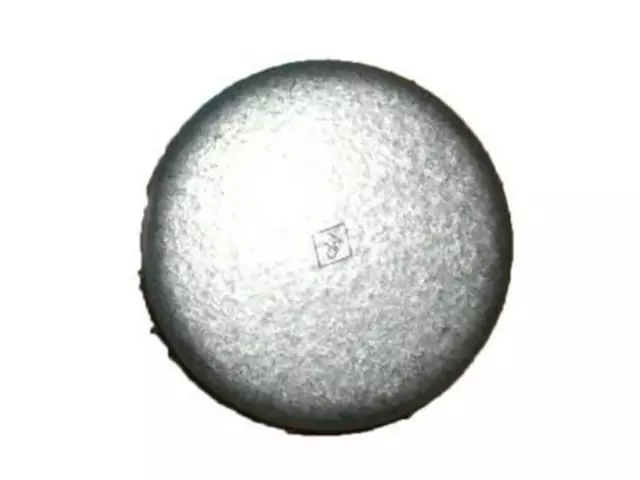 Engine Camshaft Plug