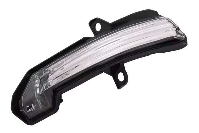 Driver Side Door Mirror Turn Signal Lamp