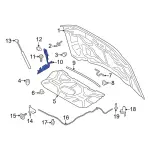 2023-2024 Ford - Hinge