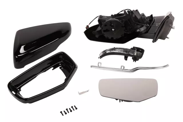 Driver Side Door Mirror