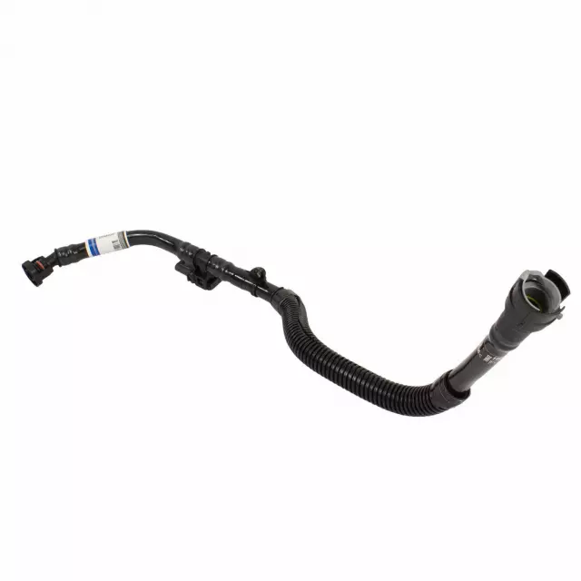 1337 フーちん 28c79fdab907432441ea45e648aac2