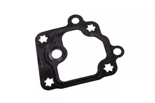 Vacuum Pump Gasket