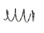 Rear Coil Spring, Right Rear