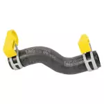 2018-2021 Ford F-150 - Engine Coolant Hose