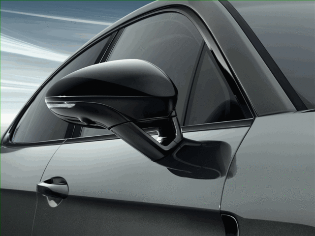 2017-2023 Porsche Panamera - Exterior Mirrors, Painted, Black