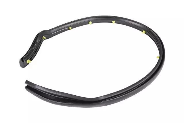 Rear Driver Side Door Below Belt Rear Auxiliary Weatherstrip