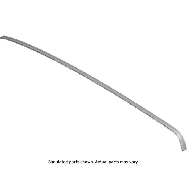 Black Driver Side Roof Molding