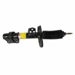 Motorcraft™ Strut