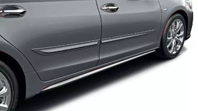Body Side Molding - Lunar Silver Metallic