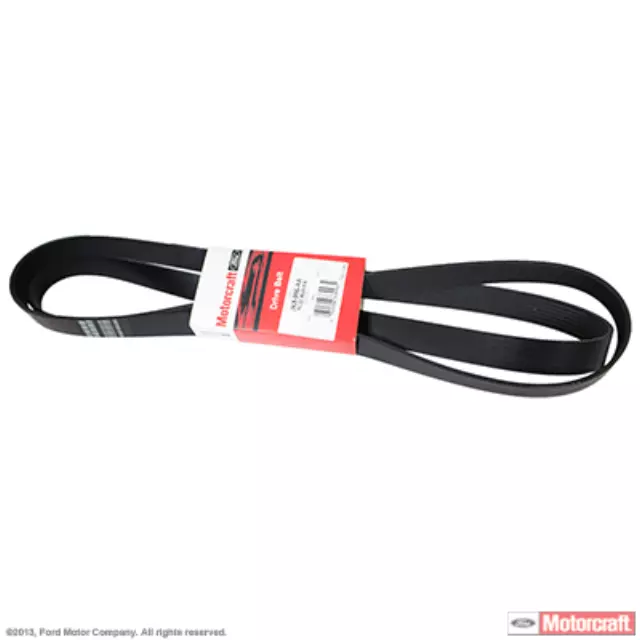 Serpentine Belt - Ford (YC2Z-8620-EA)