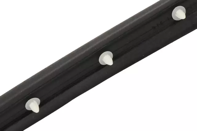 Front Driver Side Door Weatherstrip