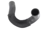 Radiator Outlet Hose