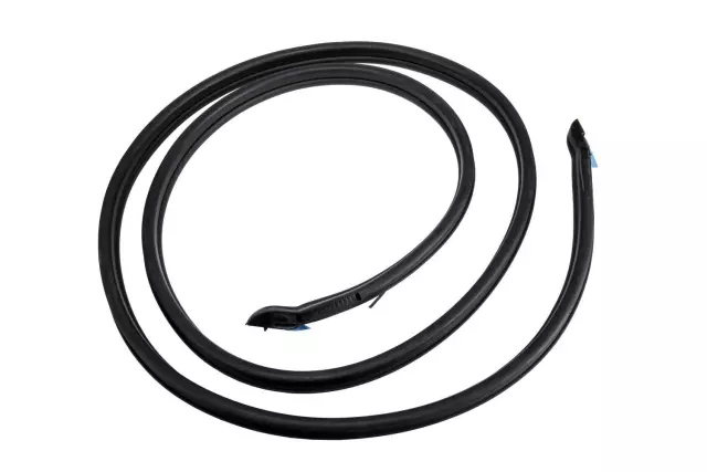 Passenger Side Rear Door Weatherstrip