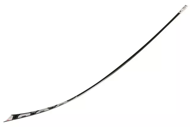 Passenger Side Rear Door Window Upper Molding