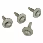 Seal Screw