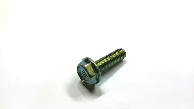 Ignition Coil Bolt