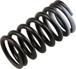 Valve Springs