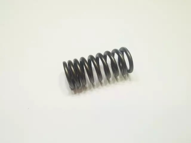 Valve Springs