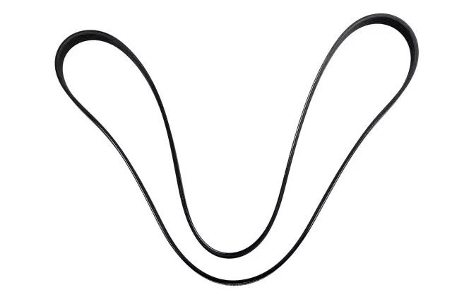 Serpentine Belt